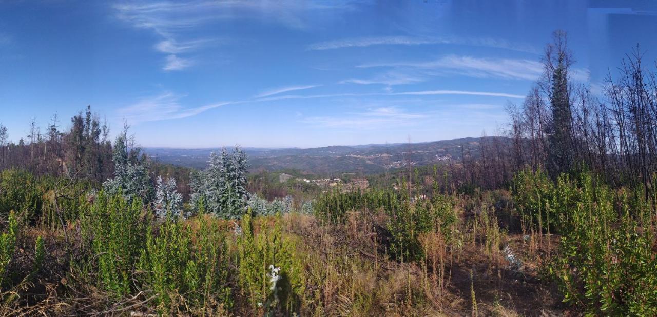 Casa Wiandeha Bed and Breakfast Figueiredo  Esterno foto