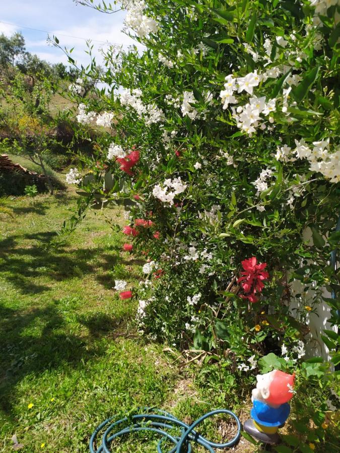 Casa Wiandeha Bed and Breakfast Figueiredo  Esterno foto