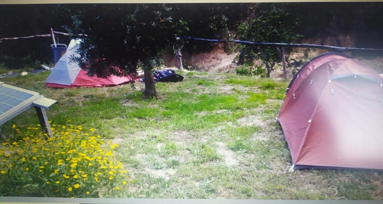 Casa Wiandeha Bed and Breakfast Figueiredo  Esterno foto