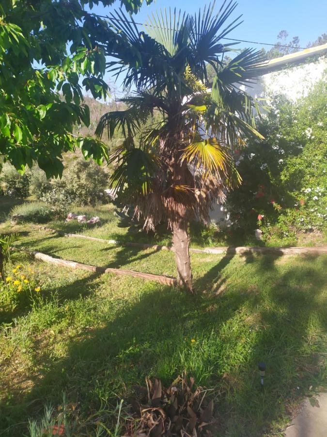 Casa Wiandeha Bed and Breakfast Figueiredo  Esterno foto